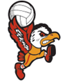 Benet Academy Team Logo